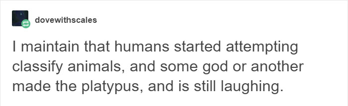 coconut-platypus-classification-problem-tumblr-post-12