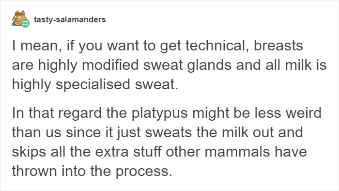 coconut-platypus-classification-problem-tumblr-post-22