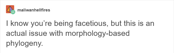 coconut-platypus-classification-problem-tumblr-post-3