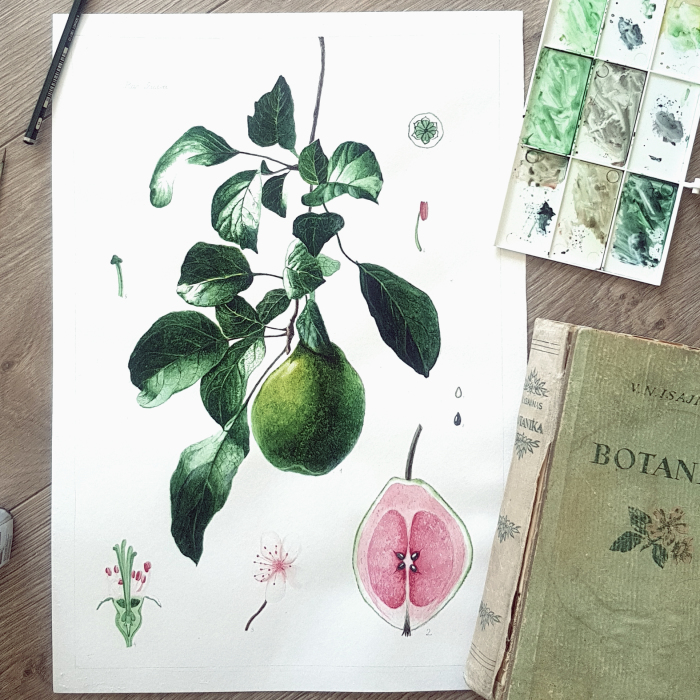Botanical Art
