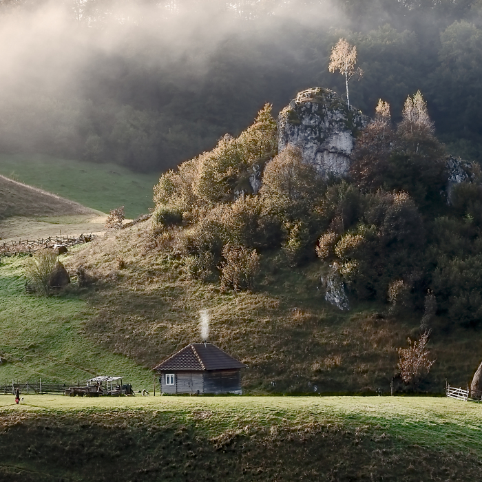 I Have Been Looking For Dracula In Transylvania, But I Found This Instead