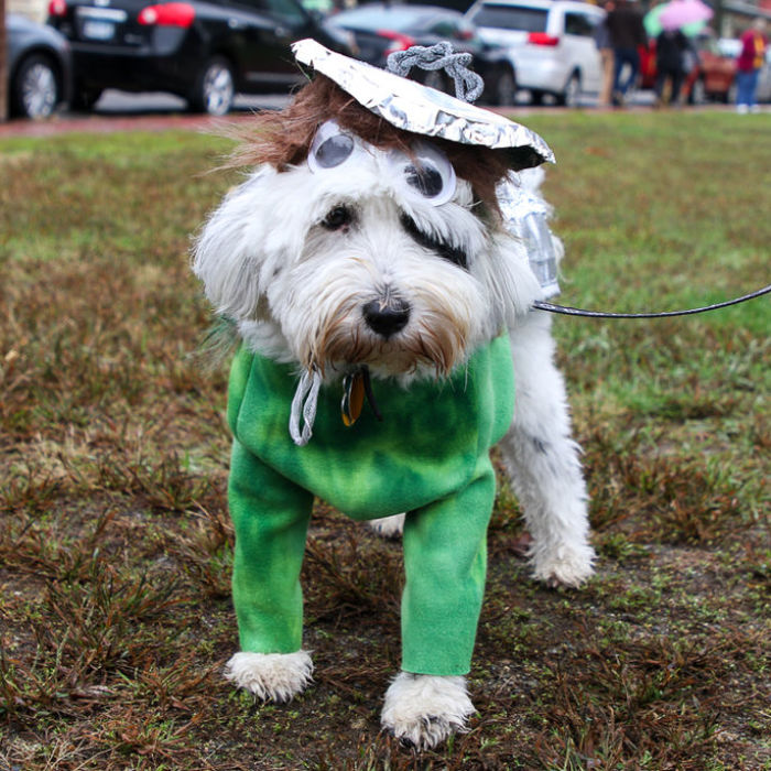 Doc Hopes Someone Will Tell Him How To Get To Sesame Street