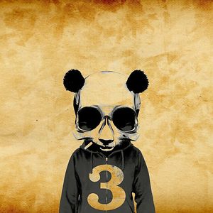 sunny-sreenath avatar