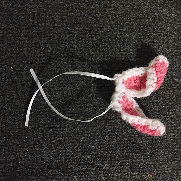 Bunny Born With No Ears Gets The Most Adorable Crocheted Sets From The Owner