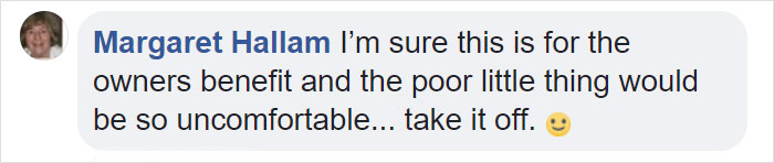 Bunny Born With No Ears Gets The Most Adorable Crocheted Sets From The Owner Bunny Born With No Ears Gets The Most Adorable Crocheted Sets From The Owner