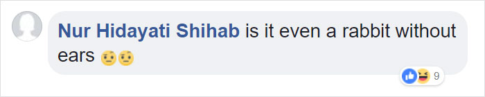 Bunny Born With No Ears Gets The Most Adorable Crocheted Sets From The Owner