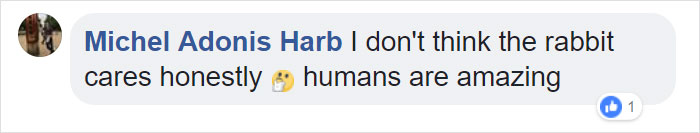 Bunny Born With No Ears Gets The Most Adorable Crocheted Sets From The Owner Bunny Born With No Ears Gets The Most Adorable Crocheted Sets From The Owner