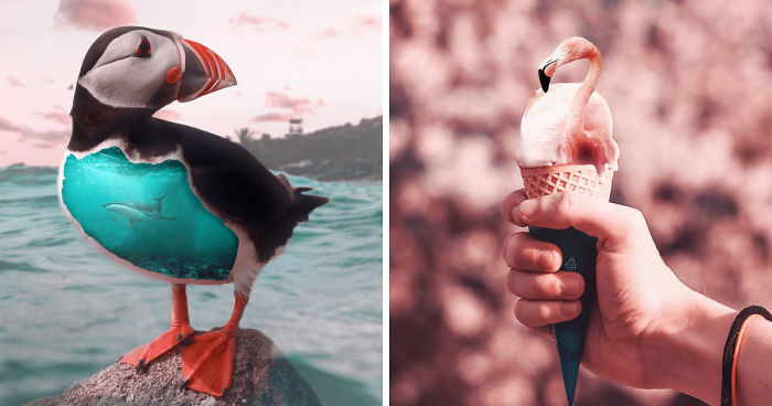 I Used Digital Art To Emphasize The Uniqueness Of Animals