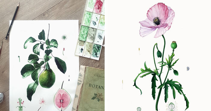 Botanical Art