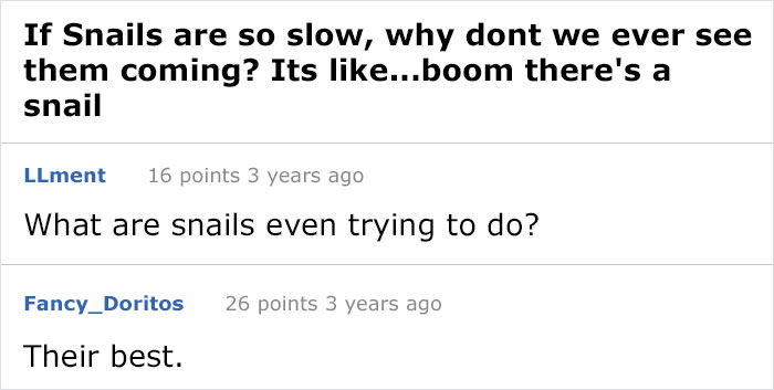 The Real Struggle Of Snails