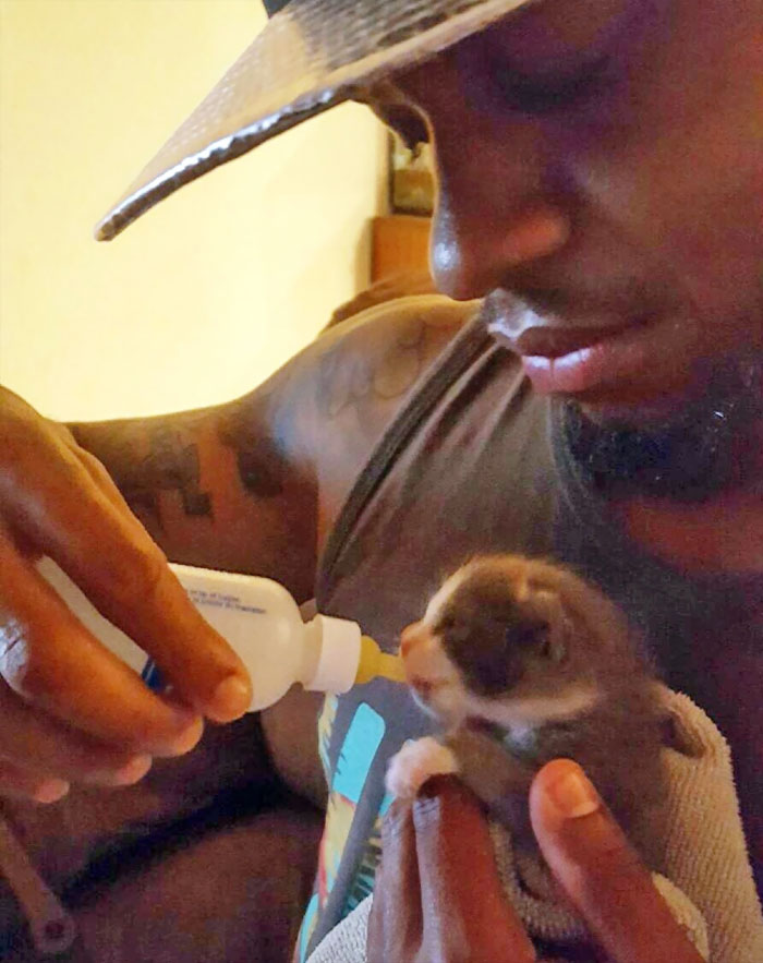 When I Was Younger I Had Dreams Of Being This Hardcore Gangster Rapper. I Guess Things Change