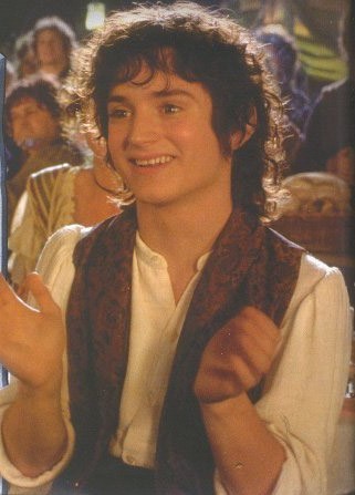 frodo-frodo-6035834-321-4471-5bd08adbc6a5d.jpg