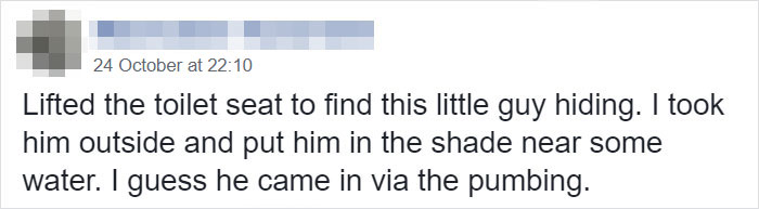 Man Blames 'The Plumbing' After Finding A 'Frog' On A Toilet Seat, Then His Wife Tells What Really Happened