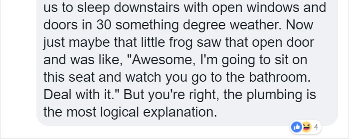 Man Blames 'The Plumbing' After Finding A 'Frog' On A Toilet Seat, Then His Wife Tells What Really Happened