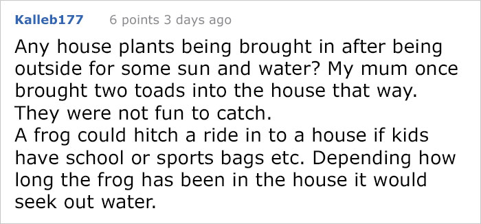 Man Blames 'The Plumbing' After Finding A 'Frog' On A Toilet Seat, Then His Wife Tells What Really Happened Man Blames 'The Plumbing' After Finding A 'Frog' On A Toilet Seat, Then His Wife Tells What Really Happened