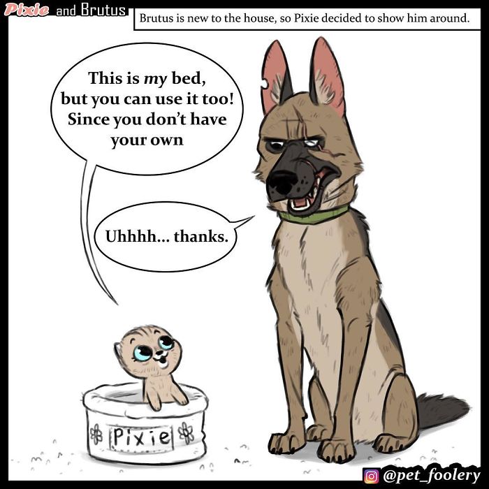 These Hilariously Adorable Comics About Brutus And Pixie Will Instantly Make Your Day These Hilariously Adorable Comics About Brutus And Pixie Will Instantly Make Your Day