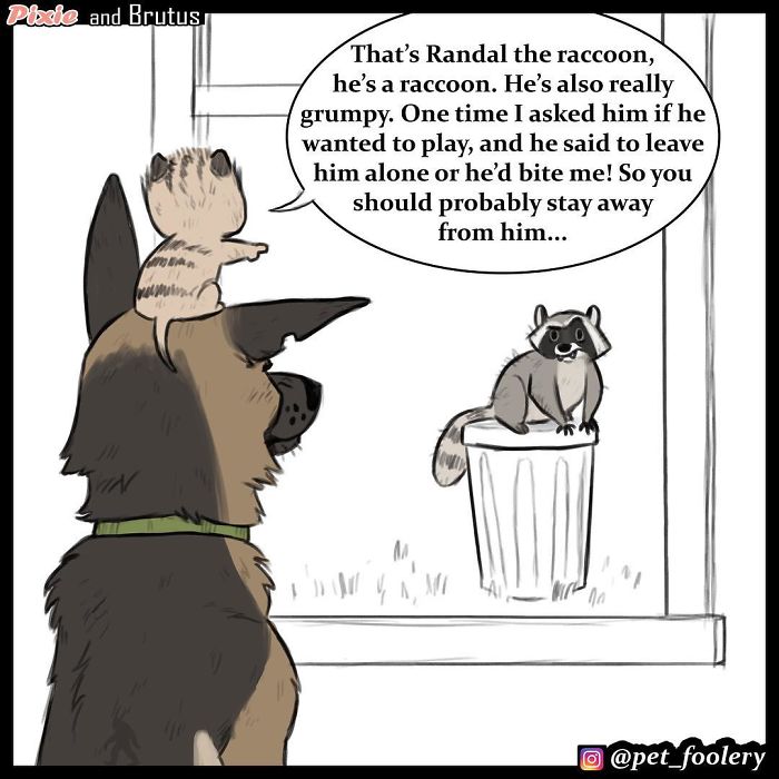 These Hilariously Adorable Comics About Brutus And Pixie Will Instantly Make Your Day
