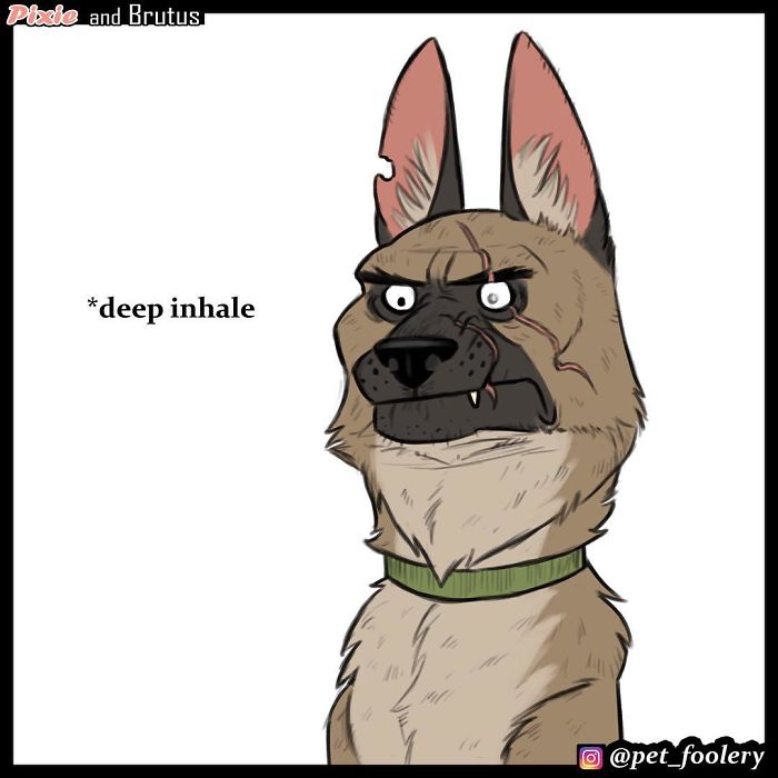 These Hilariously Adorable Comics About Brutus And Pixie Will Instantly Make Your Day These Hilariously Adorable Comics About Brutus And Pixie Will Instantly Make Your Day