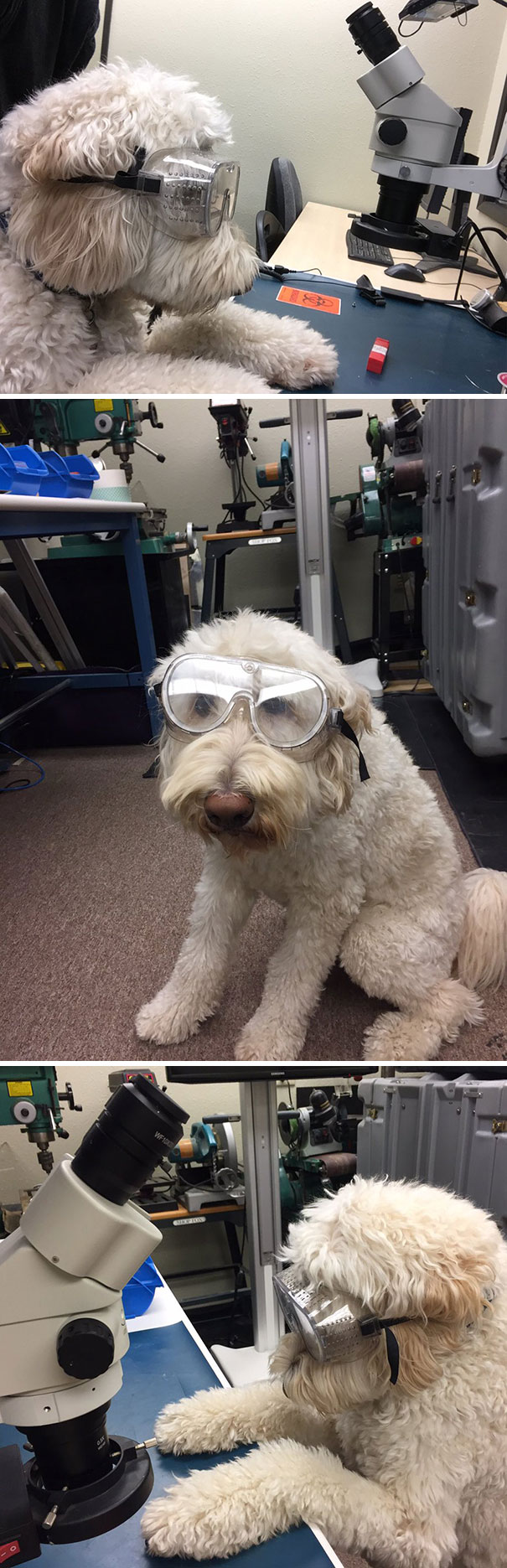 My Dad Got Bored At Work Today And Sent Me These