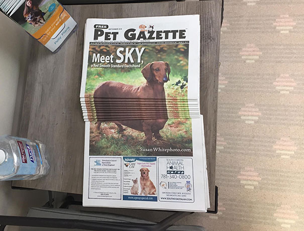 Was Bored At The Vets