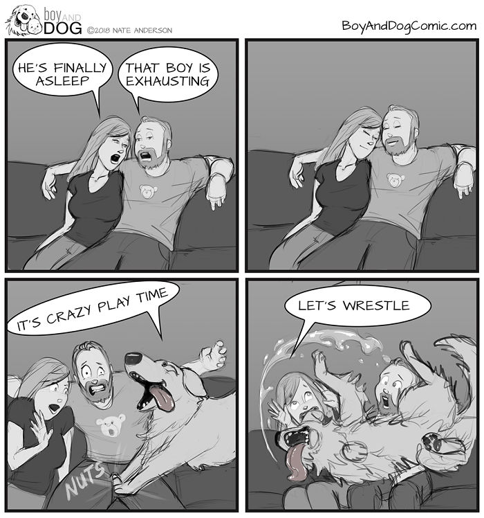 When Rowan Goes To Sleep, Murphy Thinks It's Crazy Play Time