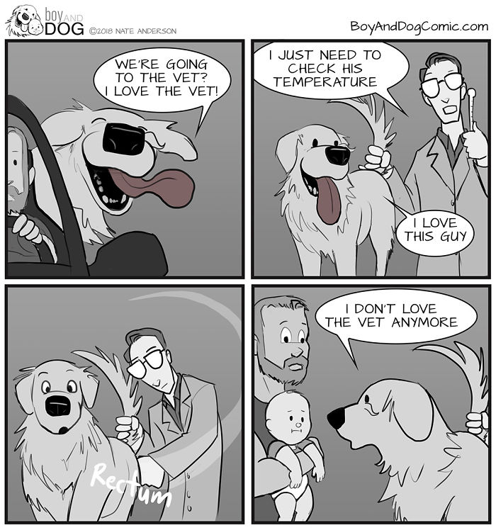 Everyone Loves Going To The Vet. That's What I Told Murphy Anyway