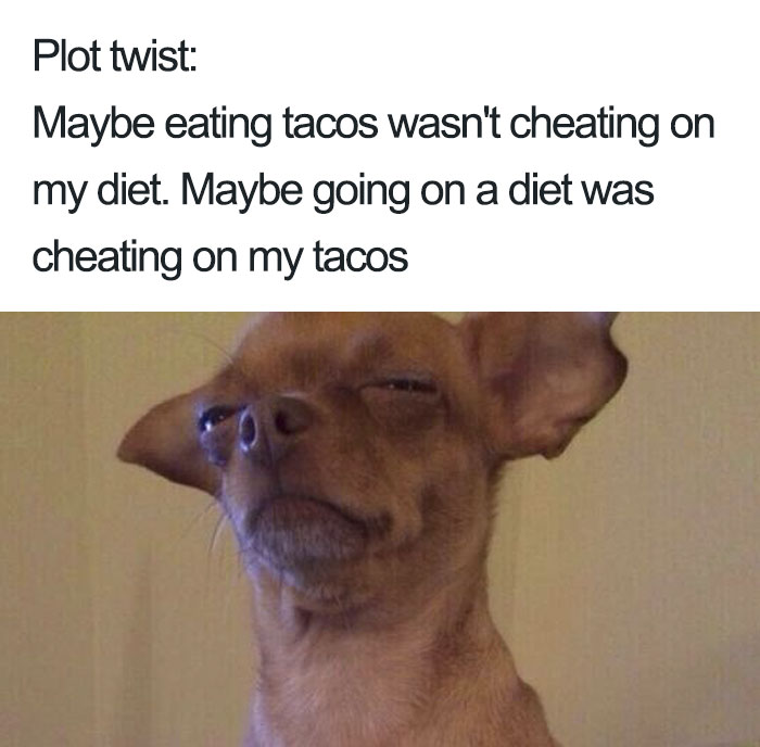 A skeptical dog with text: "Plot twist: Maybe eating tacos wasn't cheating on my diet. Maybe going on a diet was cheating on my tacos."