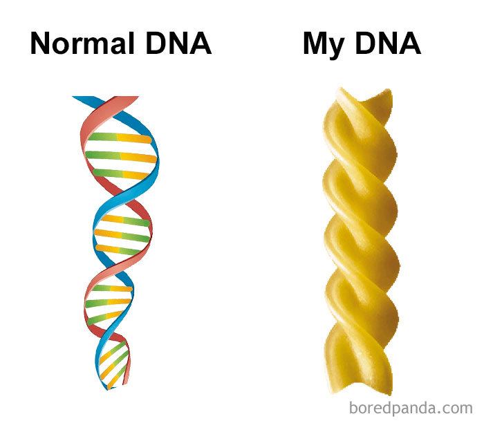 Hilarious food meme comparing normal DNA with pasta-shaped DNA.
