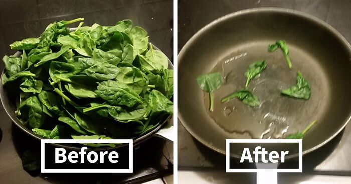 35 Hilarious Food Memes