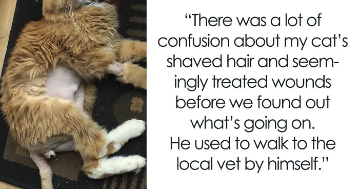 118 Of The Most Unbelievably Smart Things Animals Have Done That Surprised People