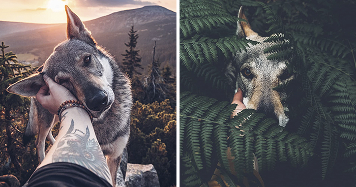 ¿Harto de las fotos de Instagram #FollowMeTo? Este hombre se lleva a su perro a dondequiera que vaya y es 1000 veces mejor