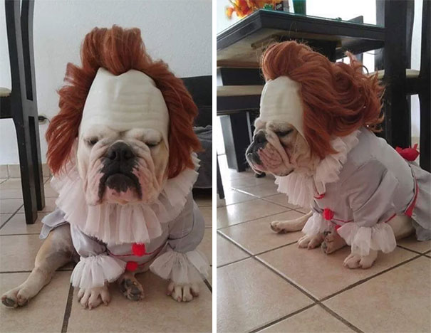 We All Bark Down Here