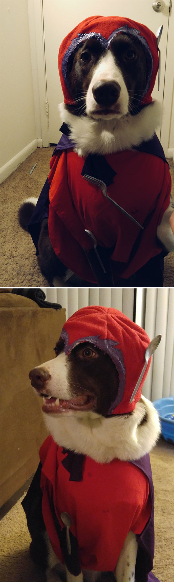 My Best Boy Was Magneto For Halloween
