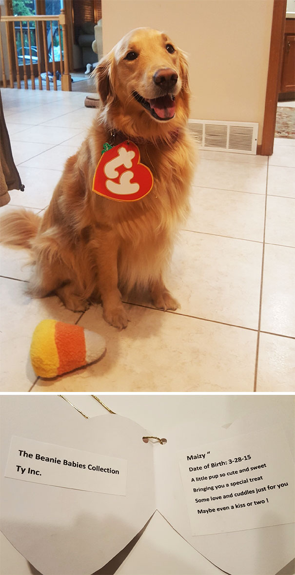 My Favorite Beanie Baby