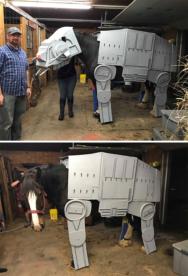 Me (Fat Guy In Blue) With My Albatross. The 5 Month Obsession Of Using EVA Foam And PVC Pipe To Dress A 17 Hand High, 2000 Pound Horse As An AT-AT