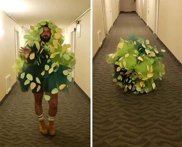 I Made Myself Into A Bushcamper