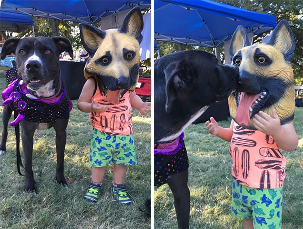 My Son Wanted To Be A Dog For Halloween