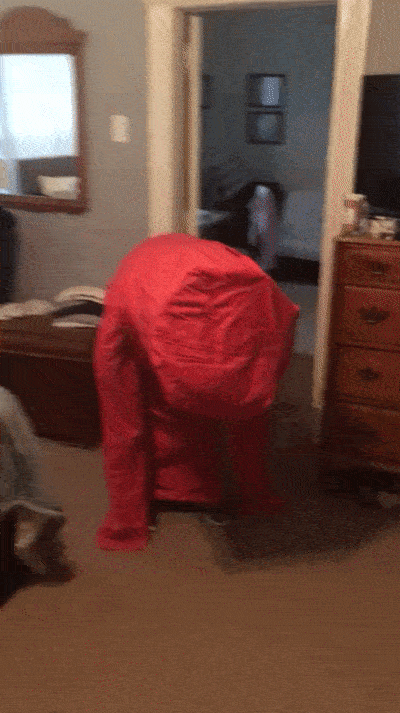 My Friend’s Halloween Costume