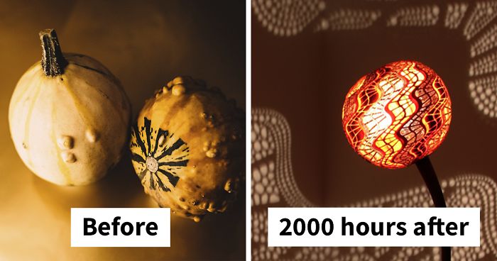 I Carved A Unique Lamp Out Of An African Fruit