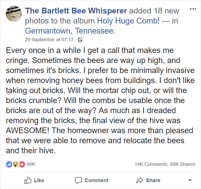 huge-beehive-the-barlett-bee-whisperer-30 huge-beehive-the-barlett-bee-whisperer-30