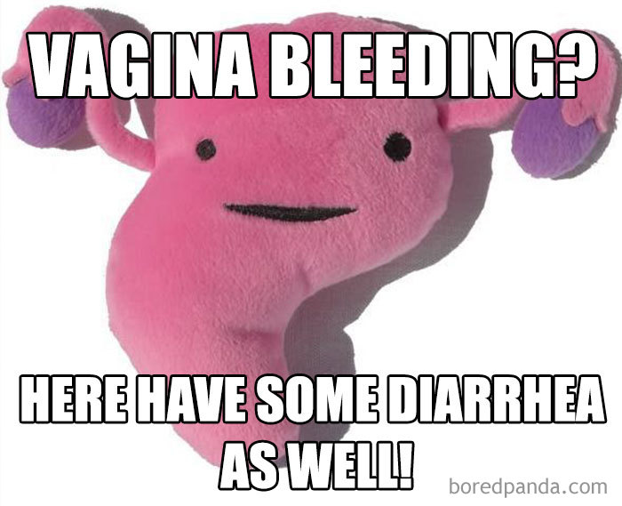 Cute uterus plush meme about period humor.