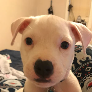 jenniferboissineau avatar