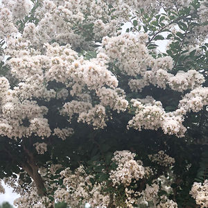 katiezachgo_1 avatar