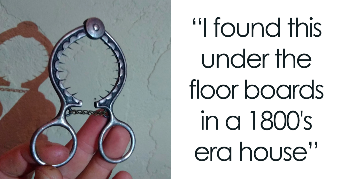 50 Surprising Things That People Found