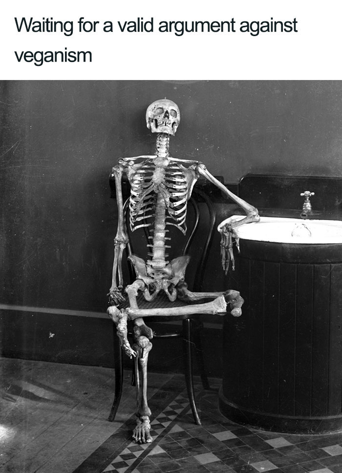 Vegan Memes
