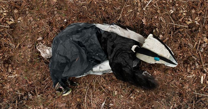 After My Picture Went Viral I Knew That I Needed To Make More Art From The Litter That I Find