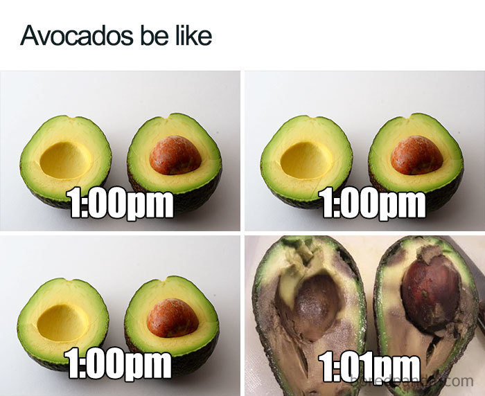 Hilarious vegan meme featuring avocados showing quick ripening process from fresh to spoiled in one minute.