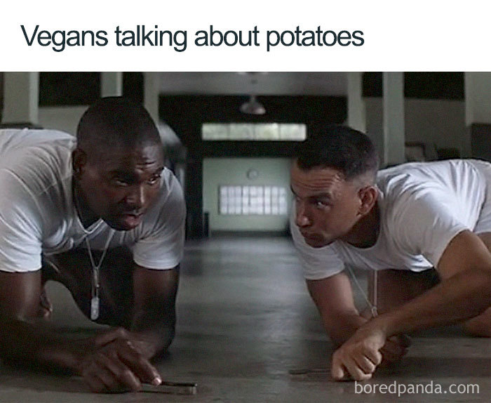 Vegan Memes