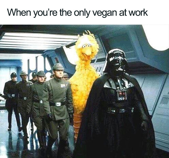 Vegan Memes