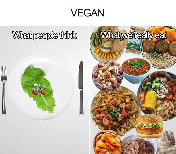 Vegan Memes